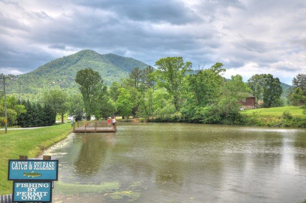 Fishing pond for guests at Friends in High Places, a 4-bedroom cabin rental located in Pigeon Forge